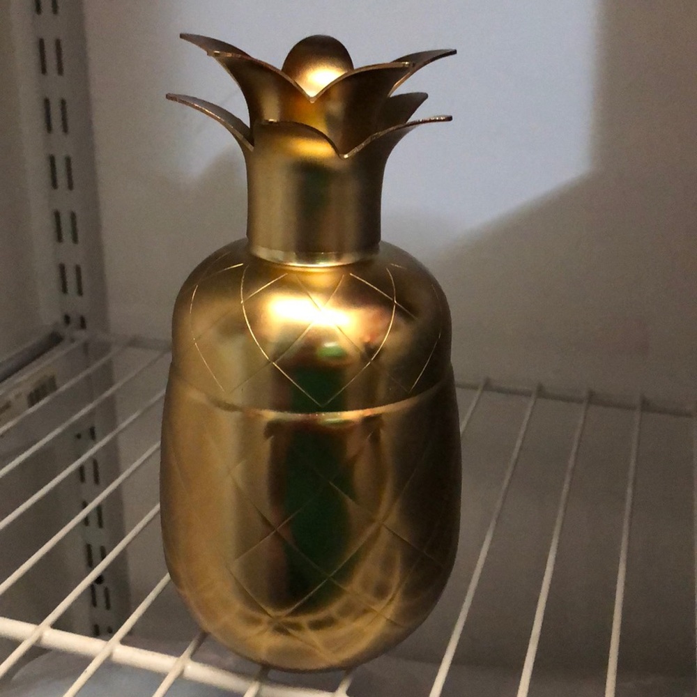 Pineapple Cocktail Shaker! 🍍
